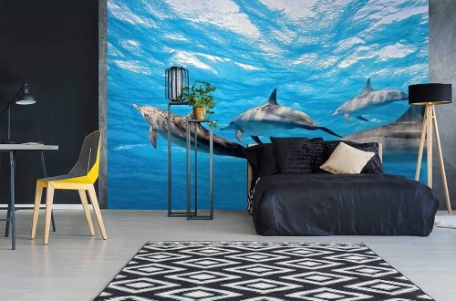 Fototapeta MS-5-0218 Delfiny flizelinowa Dimex