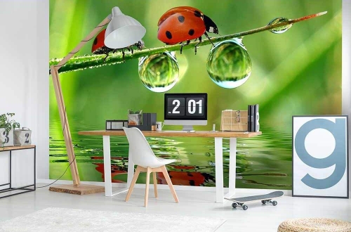 Fototapeta na ścianę MS-5-0226 Biedronki flizelinowa Dimex