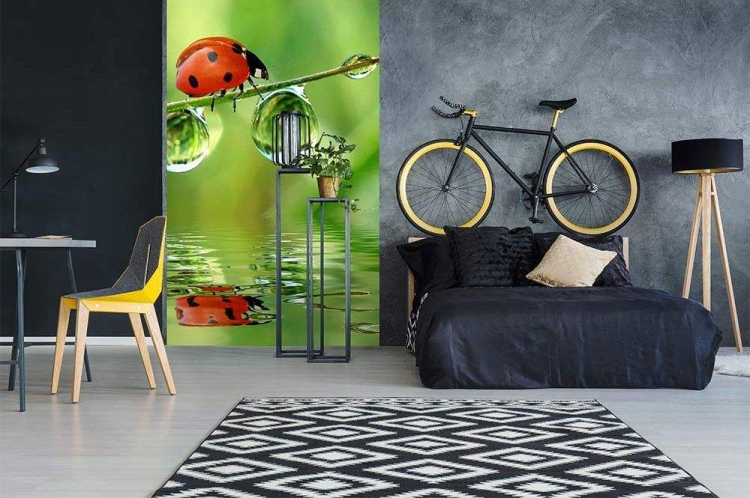 Fototapeta MS-2-0226 Biedronki flizelinowa Dimex