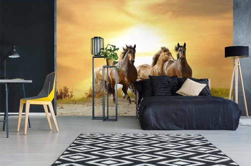 Fototapeta MS-5-0227 Konie w słońcu flizelinowa Dimex