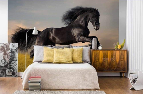 Fototapeta MS-5-0228 Koń flizelinowa Dimex