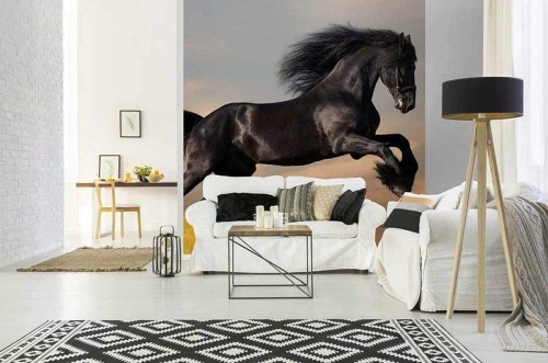 Fototapeta MS-3-0228 Koń fizelinowa Dimex