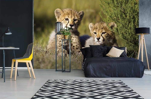 Fototapeta MS-5-0229 Gepard flizelinowa Dimex