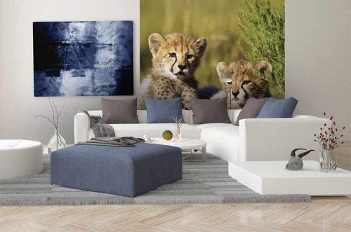 Fototapeta MS-3-0229 Gepard fizelinowa Dimex