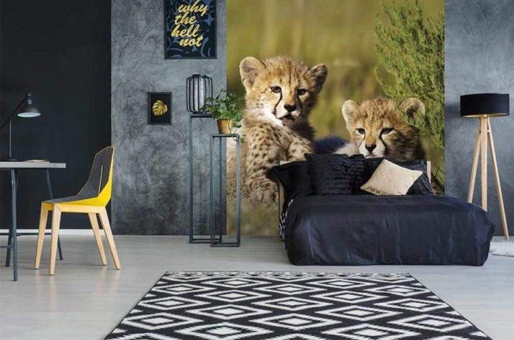 Fototapeta MS-3-0229 Gepard fizelinowa Dimex