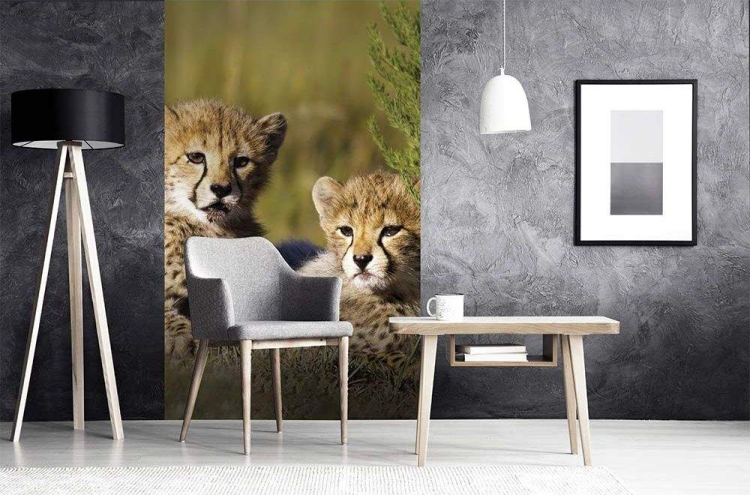 Fototapeta MS-2-0229 Gepard flizelinowa Dimex