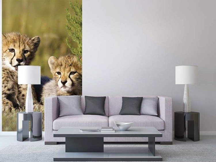Fototapeta MS-2-0229 Gepard flizelinowa Dimex