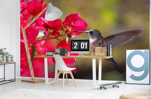 Fototapeta MS-5-0230 Koliber flizelinowa Dimex