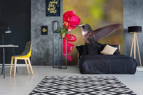 Fototapeta MS-3-0230 Koliber fizelinowa Dimex