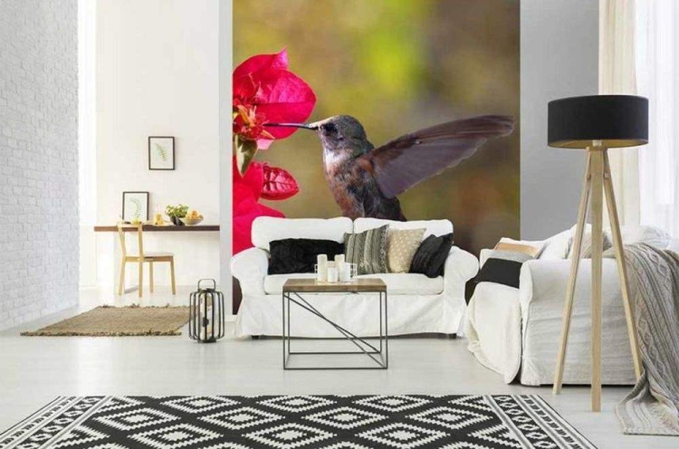 Fototapeta MS-3-0230 Koliber fizelinowa Dimex