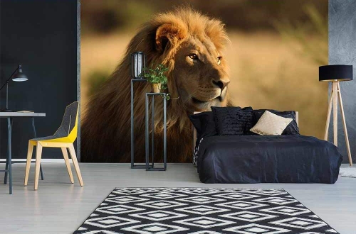 Fototapeta MS-5-0231 Lew flizelinowa Dimex
