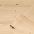 45cm-d-c-fix-jura-pine-wood-sticky-back-vinyl-200-3267-from-1m-to-15m-(2)-32372-p.jpg