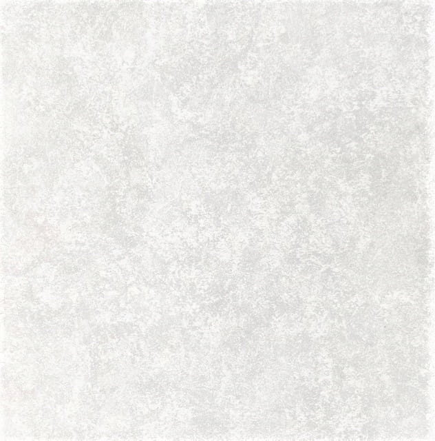 TAPETA-2098-06-TYNK-tlo-SZARA-BIEL-Srebrny-Brokat.jpg