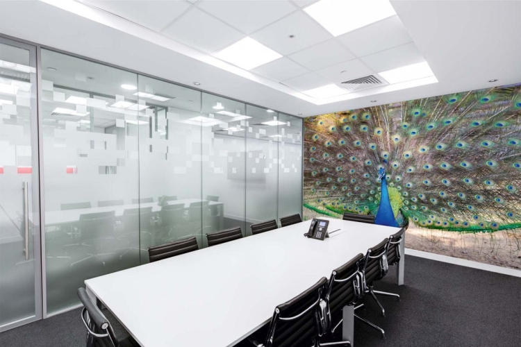 Fototapeta MS-5-0406 Paw flizelinowa Dimex