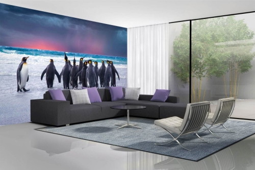 Fototapeta MS-5-0478 Pingwiny flizelinowa Dimex