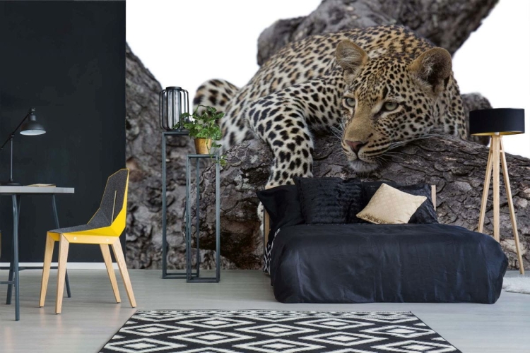 Fototapeta MS-5-0527 Lampart na drzewie flizelinowa Dimex  aranżacja