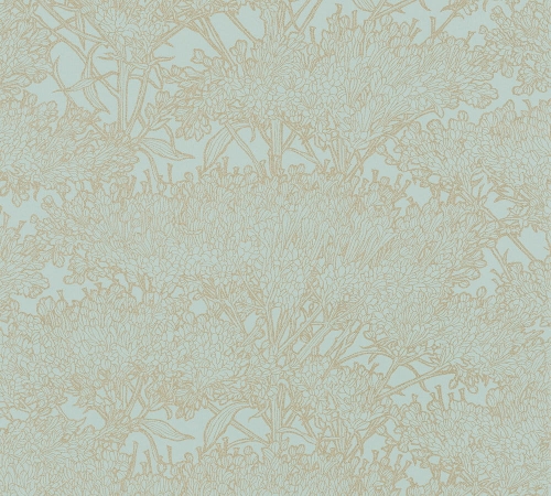 d905a40ee17051f350f5350615df96cc