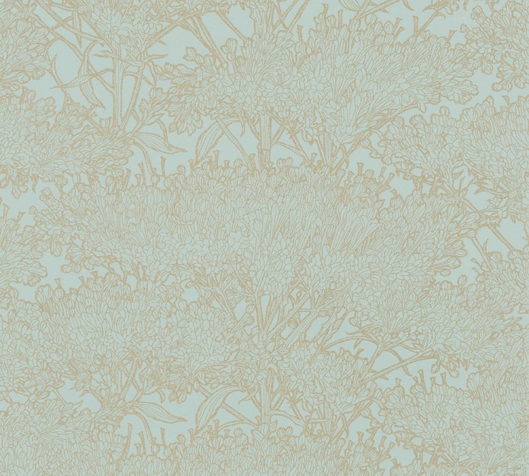 d905a40ee17051f350f5350615df96cc