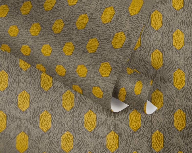 831cb6161249caf465b52e6f90b9ef25