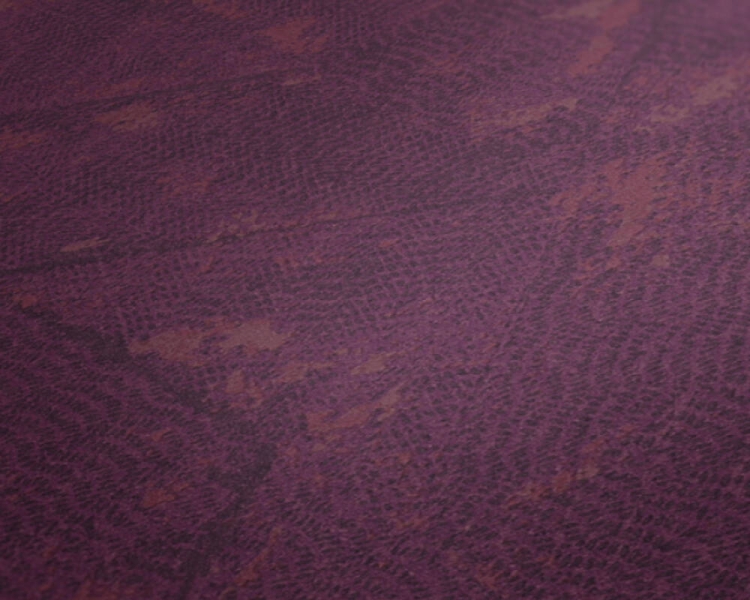 58baf1c1294df732b215a550e72cc745