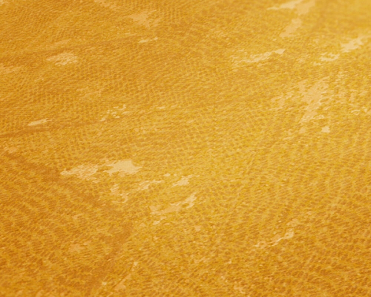 f7d7a531feffb4b5985d150776556f1f