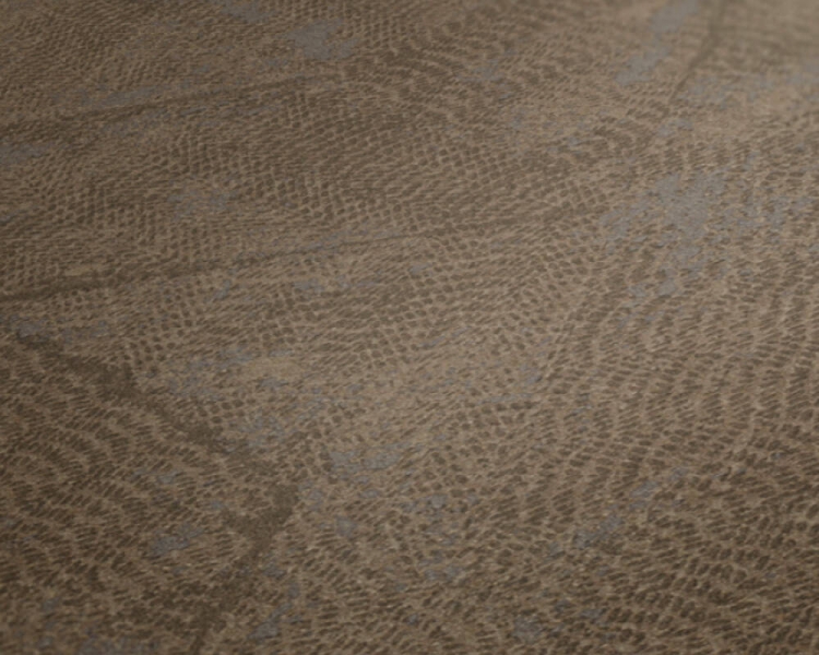 50e845d09ebca38a9ab484ecb21a23e5