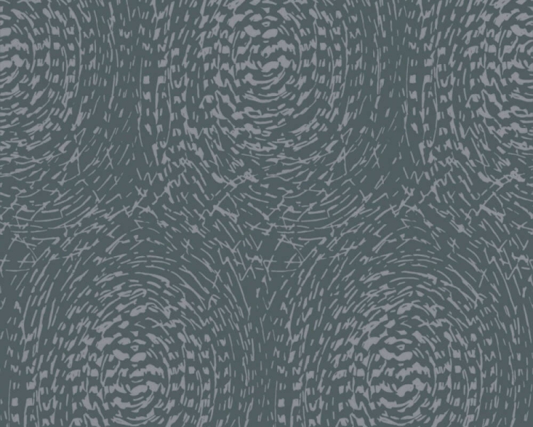 ede9809906a04f6d99e1b7b64700bef7