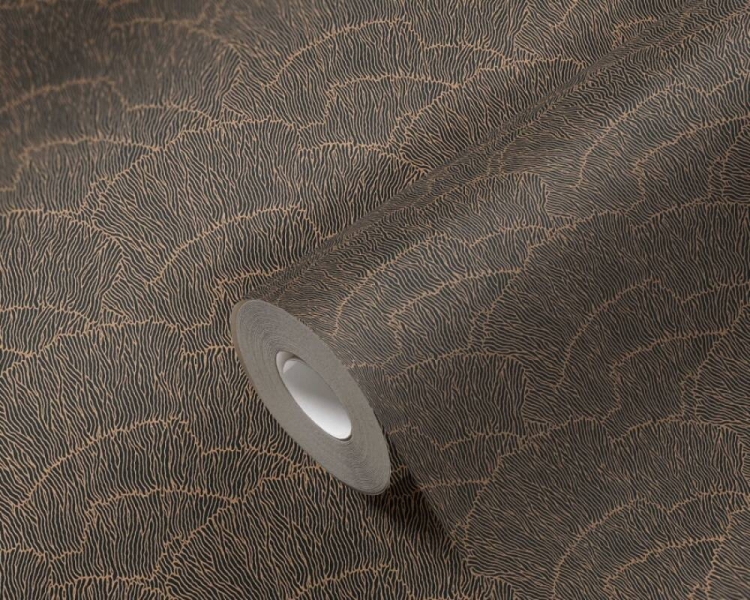 6c0e6a1cb9c08fd223ce31de40bb1920