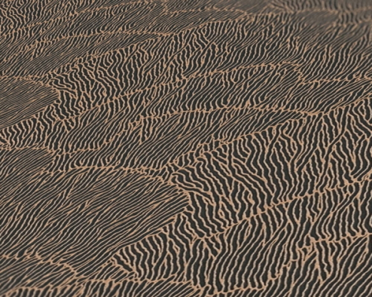 180e82bcd2273cf760883a64a0650260