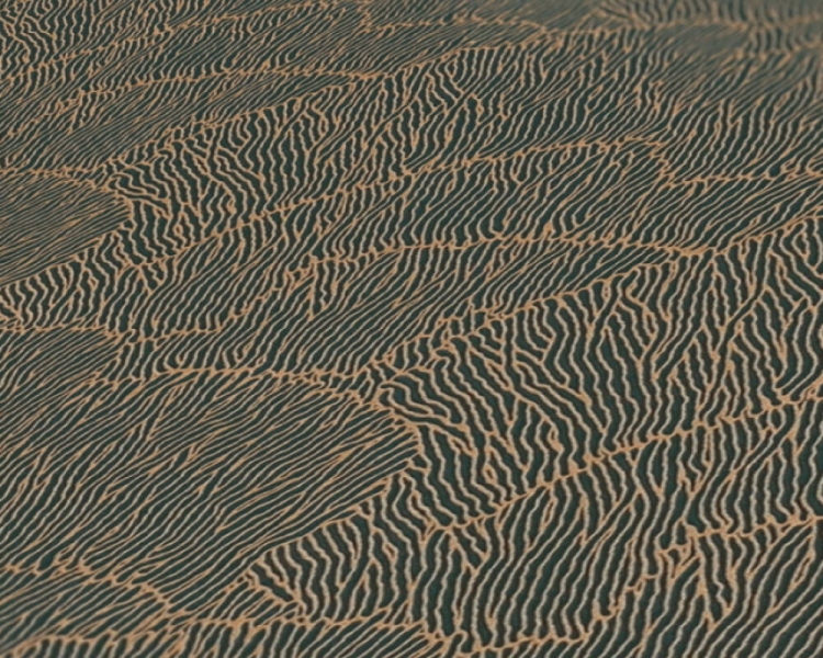 bdf60ad1290dc005da103c25ef696cc7