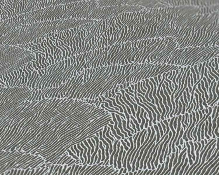 dfe603a4f31147ff5d4f6445d902780e