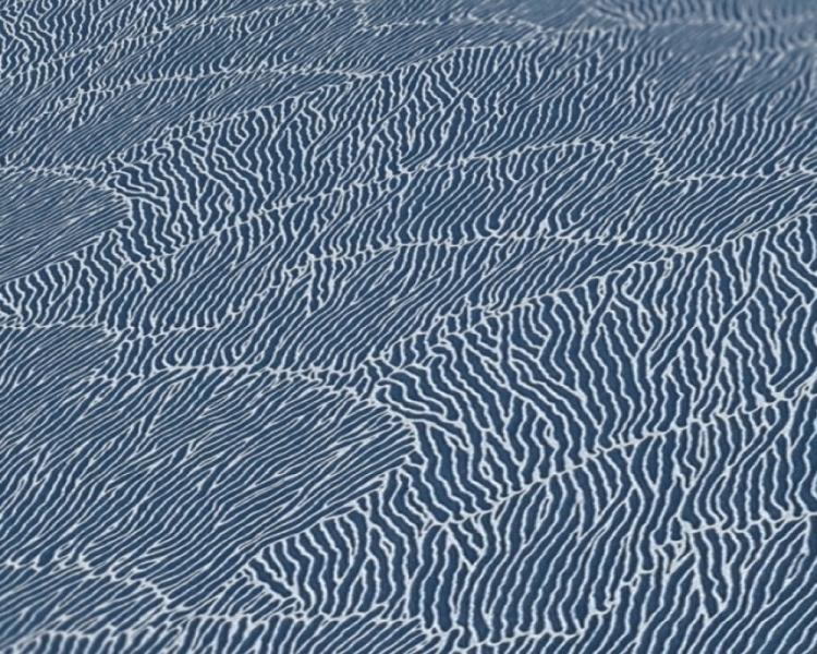 f5676a828068b44c0f0f4d47fb21af8e