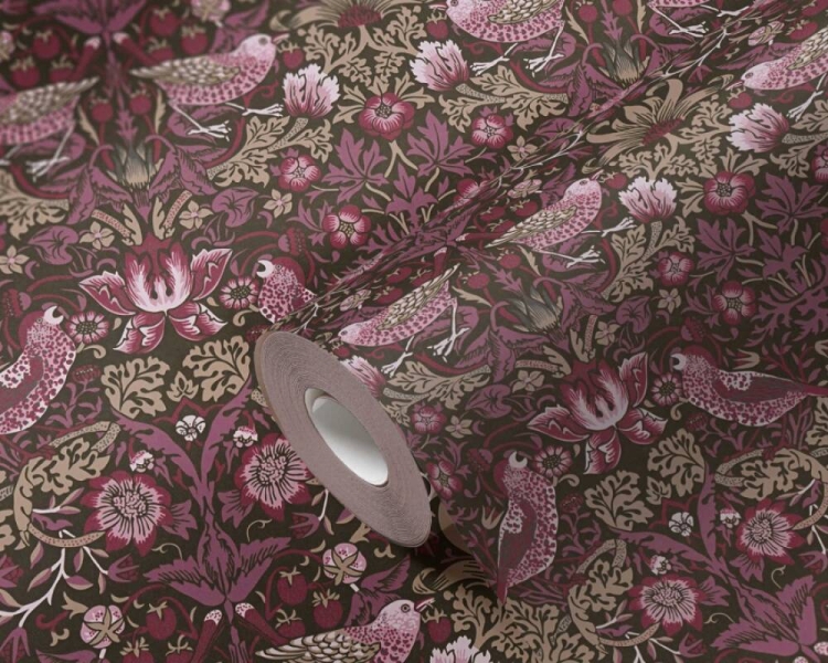 1961b41c5a9f0904b97a2eb1fa6852c3