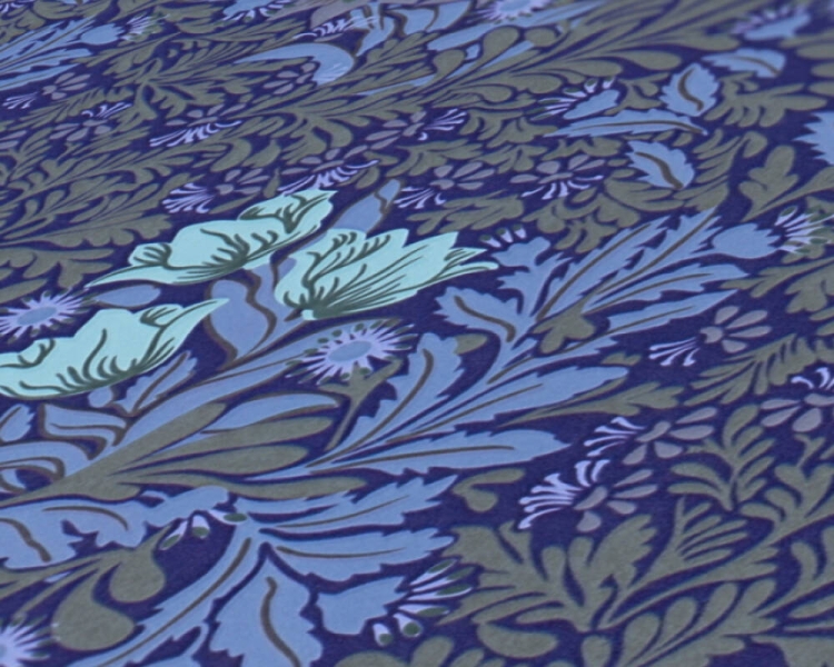 08ba136afd59f7a0d4cf0d7b41be71b2