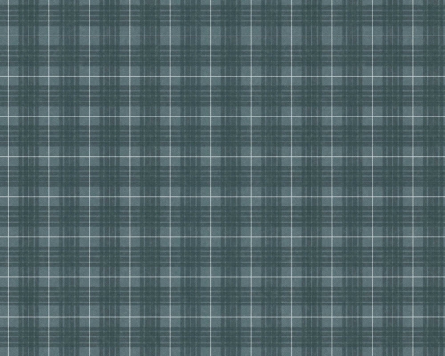 6e443c7442dcc8ba8284599defcbaba5