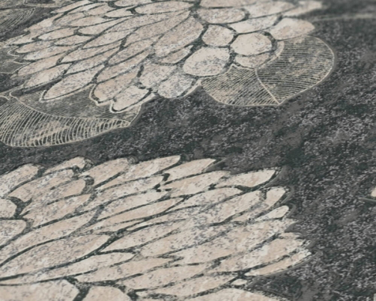 e54a07b57d6500e2ba4132f9ba1b5b9f