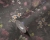 c91605bf485f2fd6e6cfcf65dca77f55