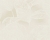 97125ec22f4916903644989ed6e669e7