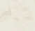 222b42cf426d136008d4dfd0d9cd5850