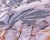 41775181ece110d54d28410e9935055c