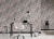 86f01308b3309aa2aee9a7900bec2eed