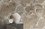 f37a7eb4851d927c77b1cfc6fdfff181