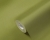 99882f333355a76dadca53380c4a83c2
