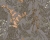 432ff41d242c9accef0a14b6c876b982