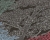 c89acaab219ee797005eec0d69a36c0f
