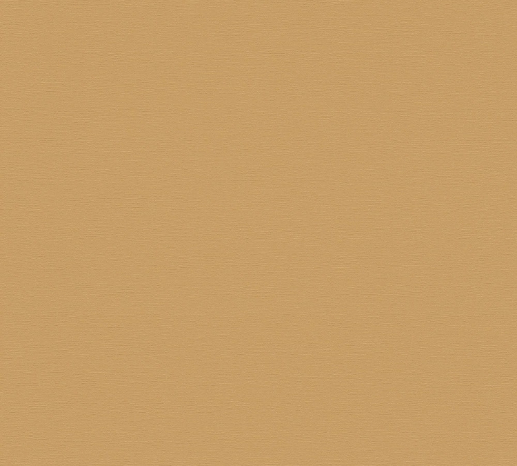 1f9981c517f61cb7fd3d71717ae49385