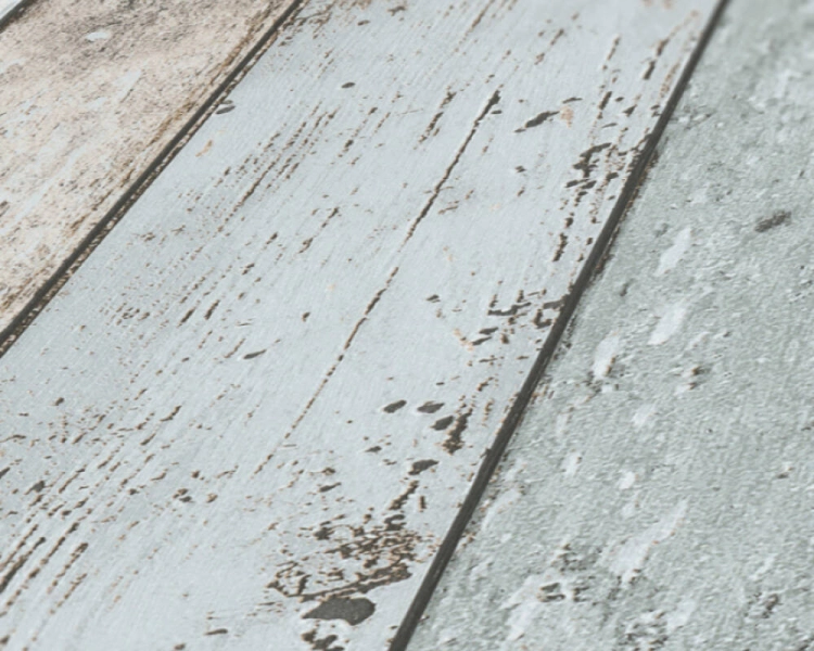 f004ae71742744be240e41d816c38d8f