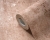 ba3a9f25bd65aa08a96ec7037dbc65ce