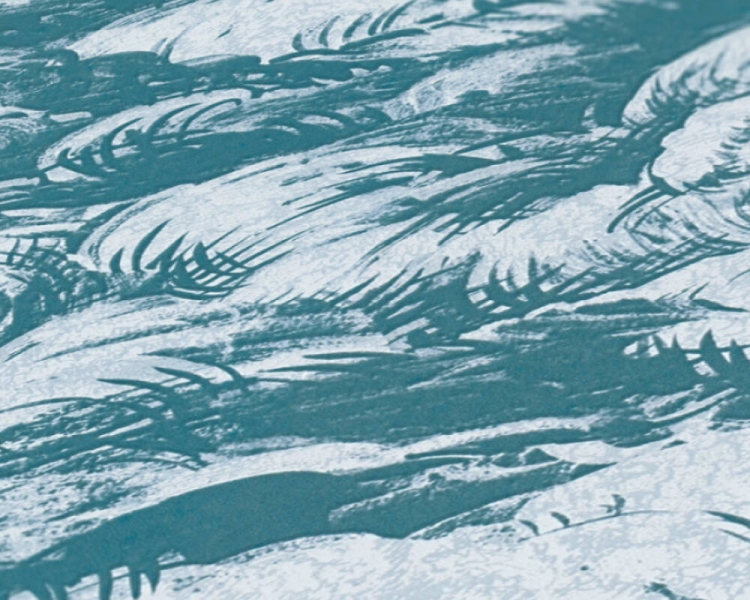 5bcbfa5e434db88b0d253c8ef1ae64d5