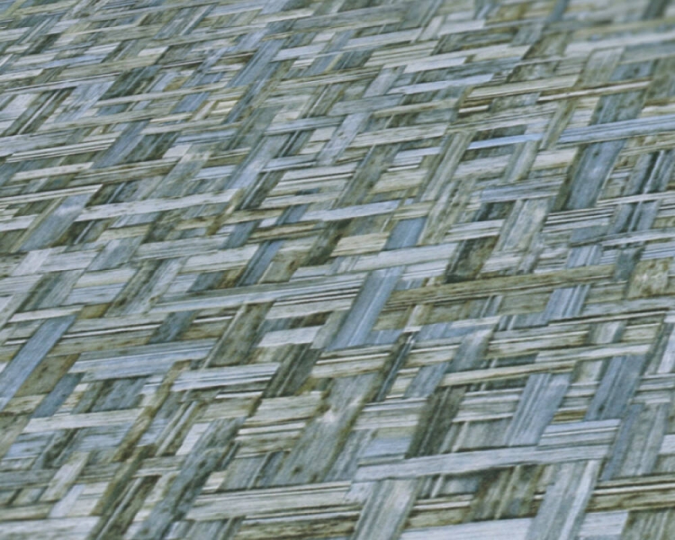 ac369701fa0c48082b818edab61e47d5